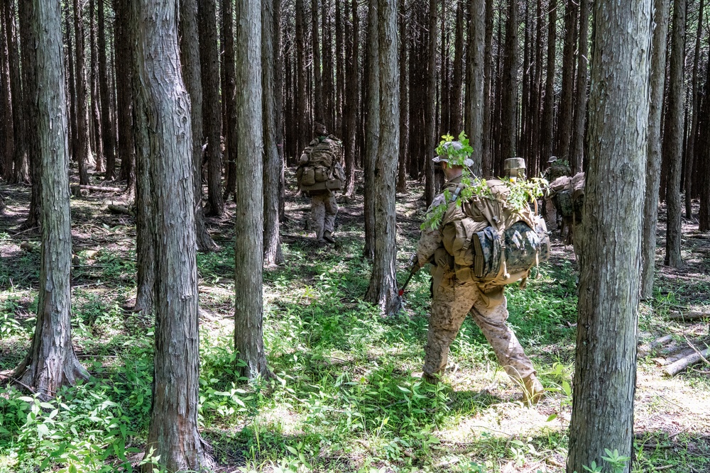 Fuji Viper 26.3 | U.S. Marines Conduct a Patrol Exercise