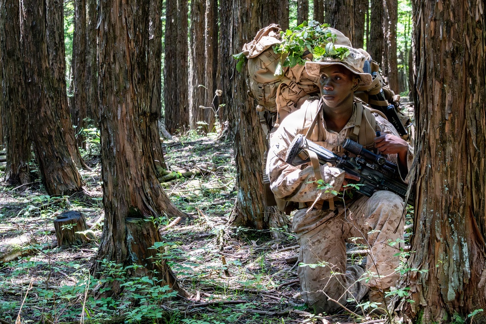 Fuji Viper 26.3 | U.S. Marines Conduct a Patrol Exercise