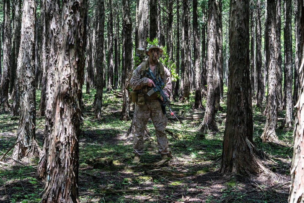 Fuji Viper 26.3 | U.S. Marines Conduct a Patrol Exercise