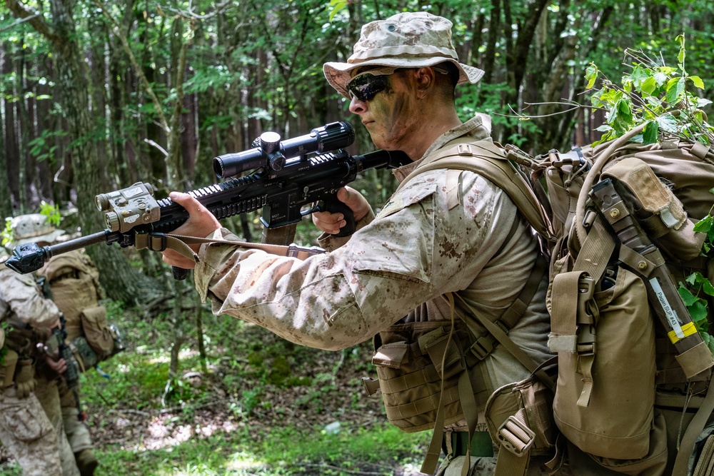 Fuji Viper 26.3 | U.S. Marines Conduct a Patrol Exercise