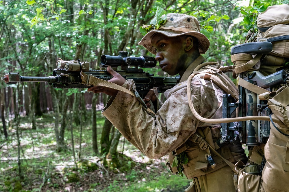 Fuji Viper 26.3 | U.S. Marines Conduct a Patrol Exercise