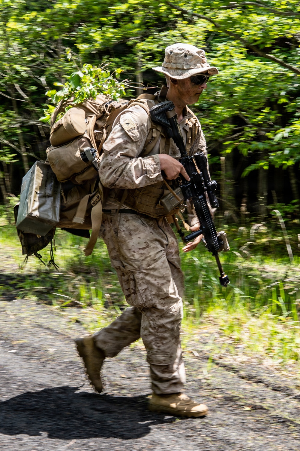 Fuji Viper 26.3 | U.S. Marines Conduct a Patrol Exercise