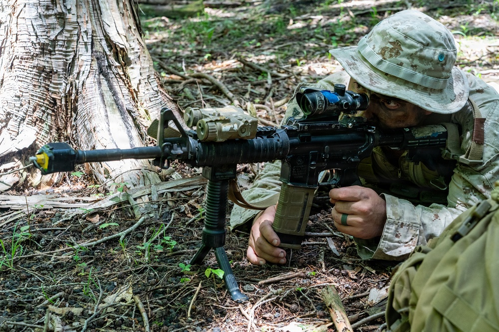 Fuji Viper 26.3 | U.S. Marines Conduct a Patrol Exercise