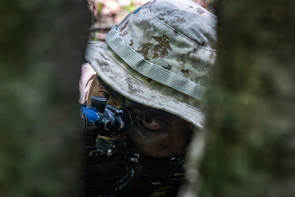 Fuji Viper 26.3 | U.S. Marines Conduct a Patrol Exercise
