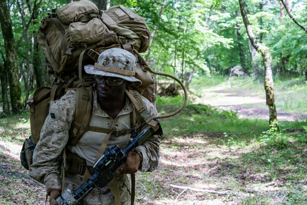 Fuji Viper 26.3 | U.S. Marines Conduct a Patrol Exercise