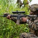 Fuji Viper 26.3 | U.S. Marines Conduct a Patrol Exercise