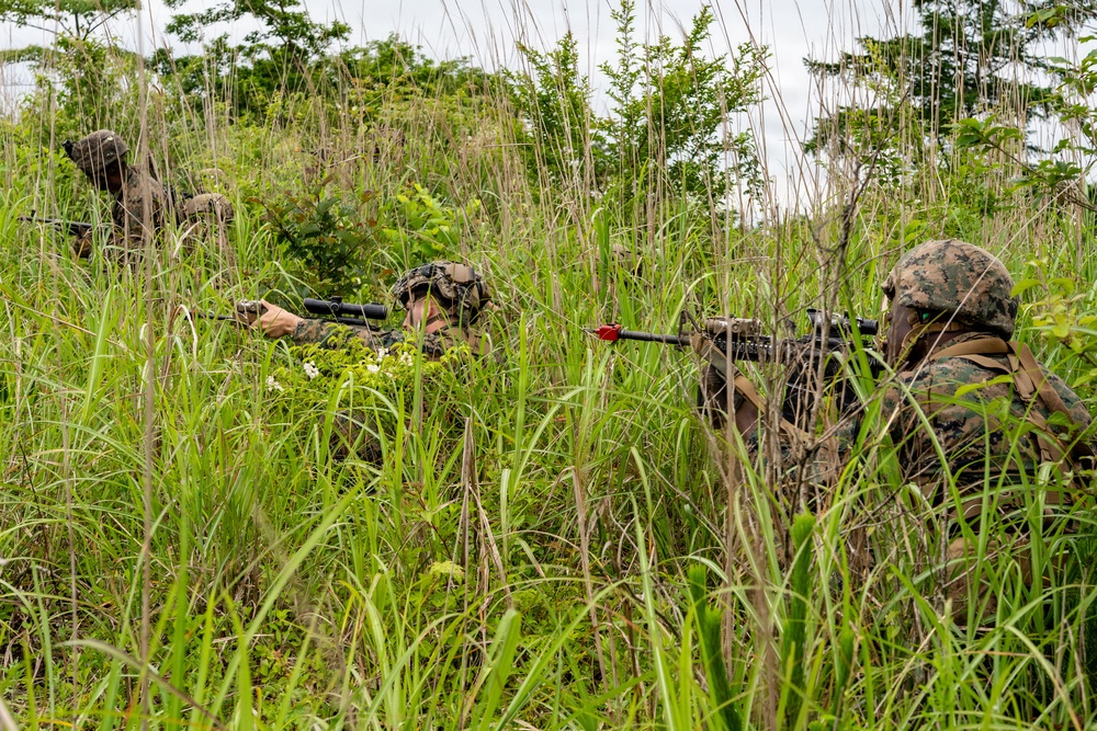 Fuji Viper 26.3 | U.S. Marines Conduct a Patrol Exercise