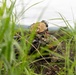 Fuji Viper 26.3 | U.S. Marines Conduct a Patrol Exercise