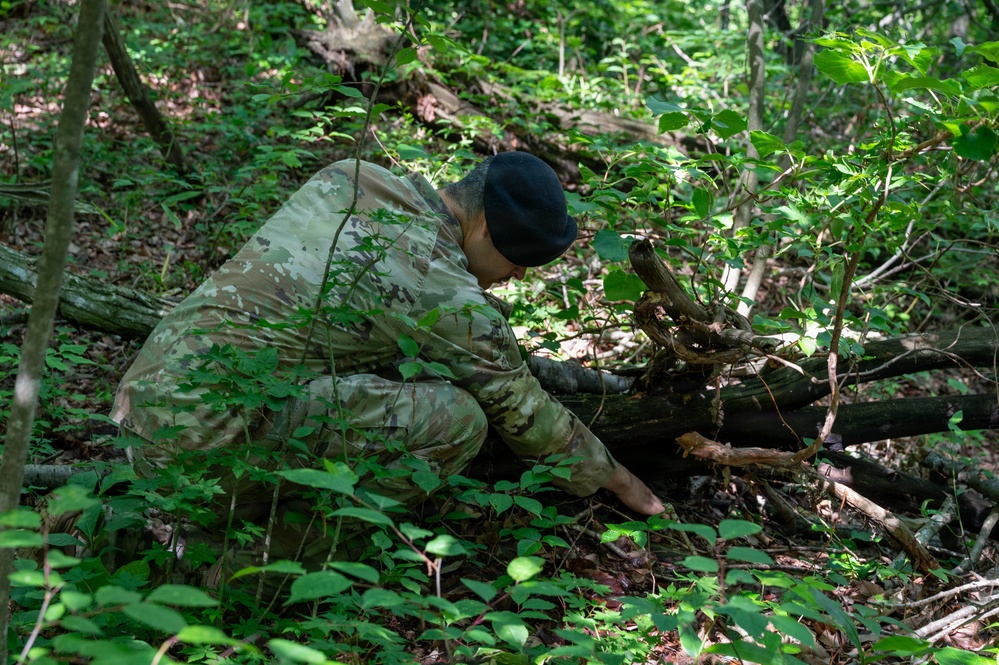 35th Security Forces Squadron strengthens military working dog readiness