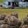 Army National Guard Unit Partners with Navy Helicopter Squadron for Joint Training