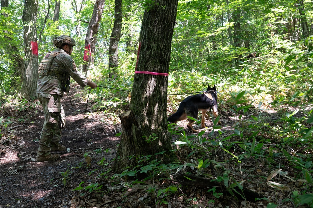35th Security Forces Squadron strengthens military working dog readiness