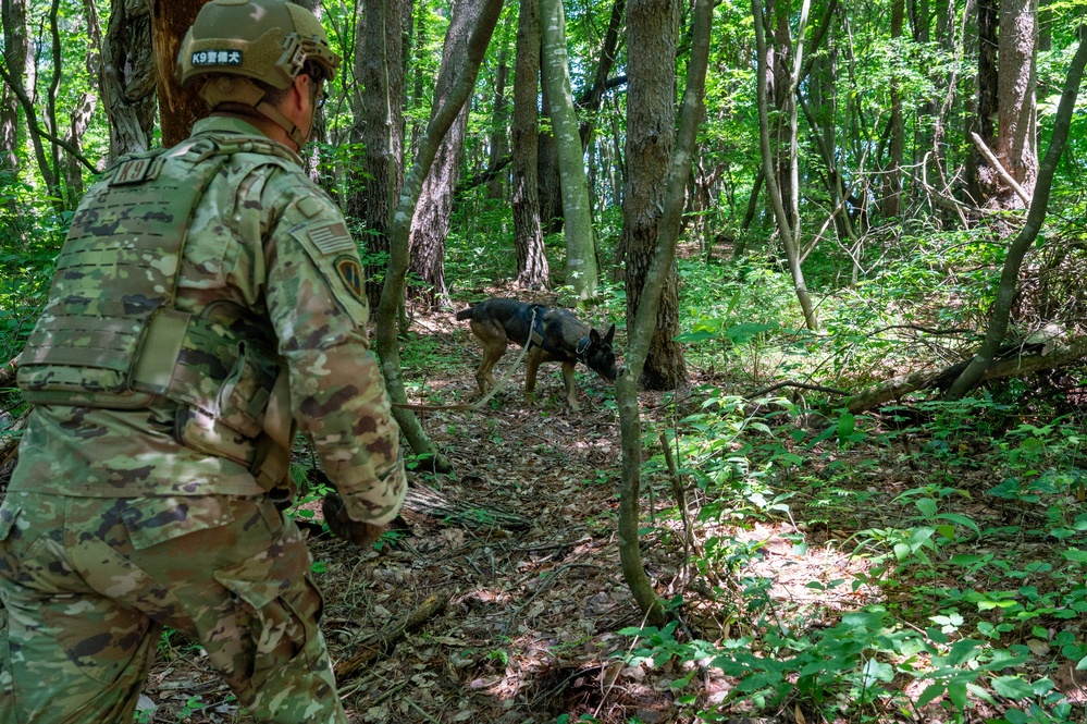 35th Security Forces Squadron strengthens military working dog readiness