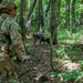 35th Security Forces Squadron strengthens military working dog readiness