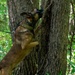 35th Security Forces Squadron strengthens military working dog readiness