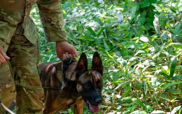 35th Security Forces Squadron strengthens military working dog readiness