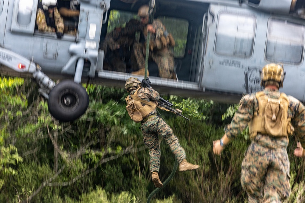 Fuji Viper 26.3 | U.S. Marines Conduct Fast-Rappelling Techniques