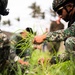3rd Littoral Combat Team, Philippine marines conduct cover and concealment training during KAMANDAG 10