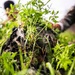 3rd Littoral Combat Team, Philippine marines conduct cover and concealment training during KAMANDAG 10