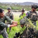 3rd Littoral Combat Team, Philippine marines conduct cover and concealment training during KAMANDAG 10