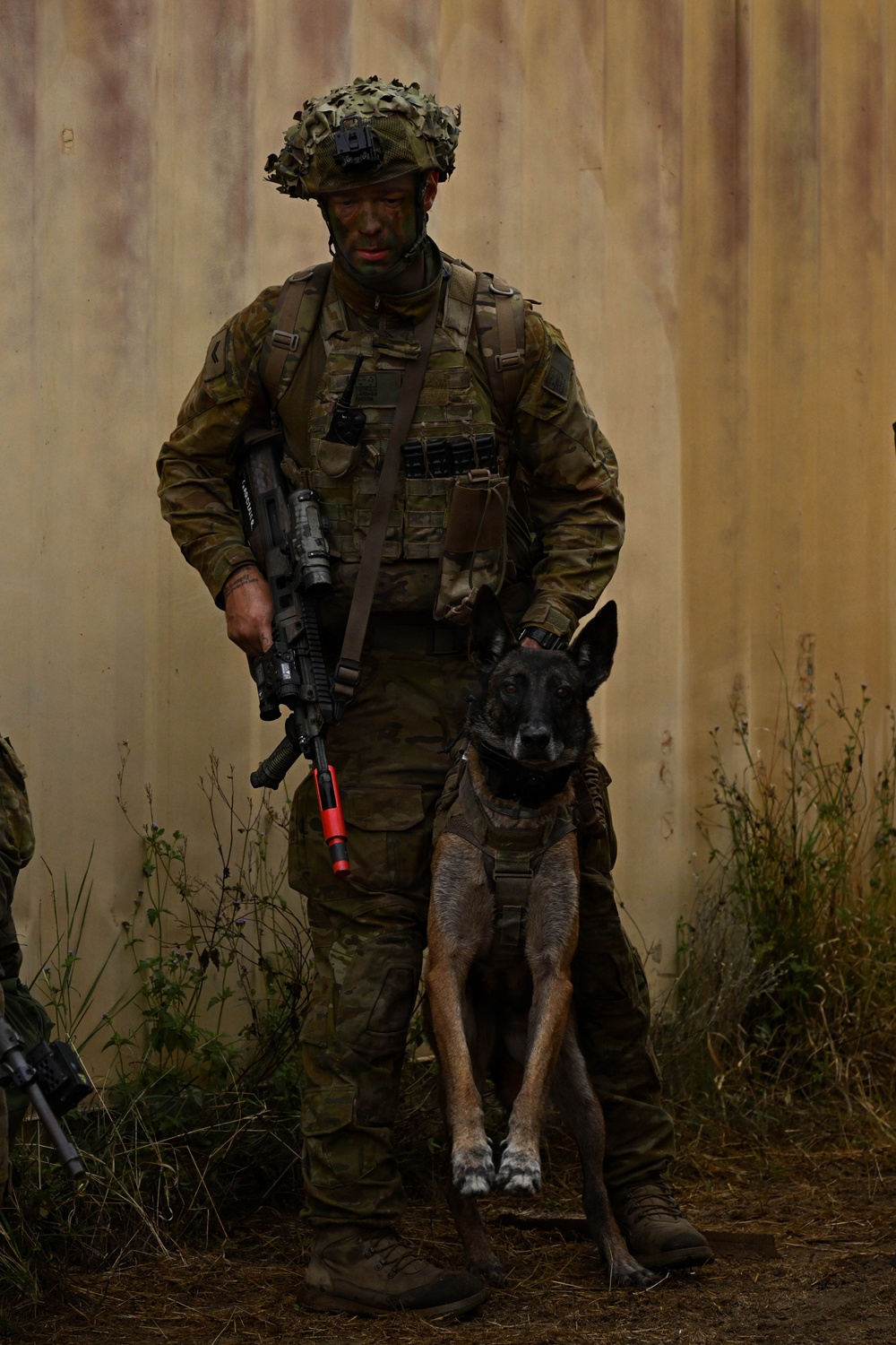 Southern Jackaroo 26: Australian soldier and Working Dog