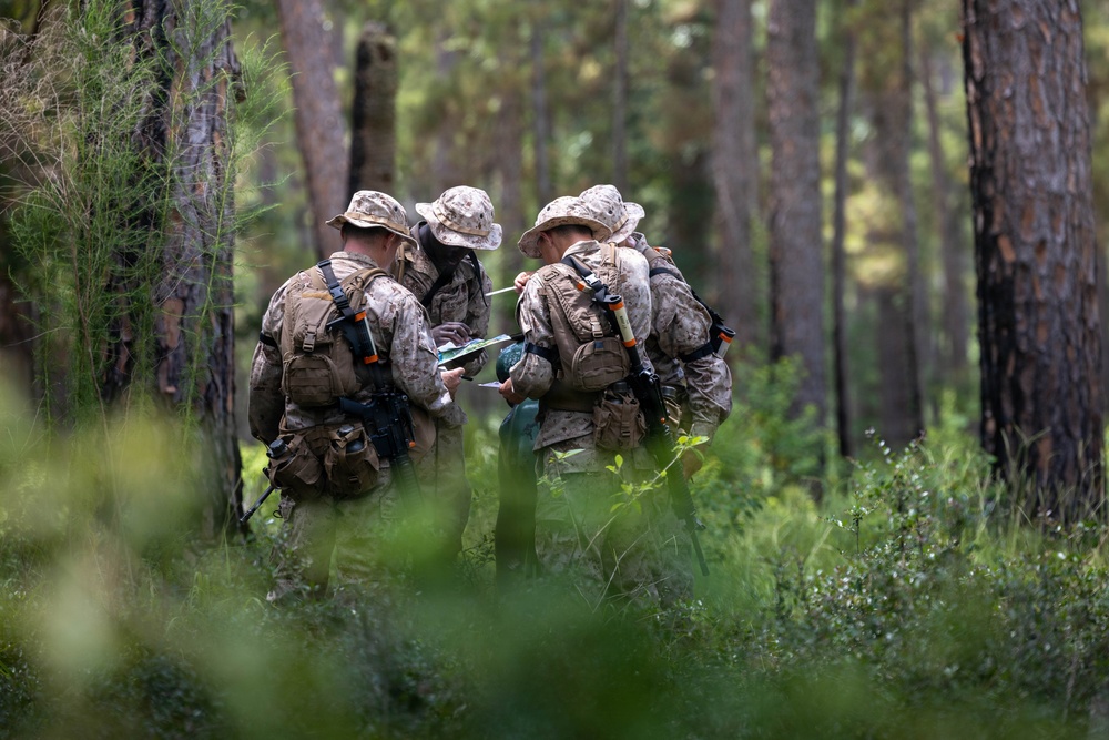 Alpha Land Navigation