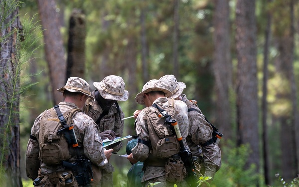 Alpha Land Navigation
