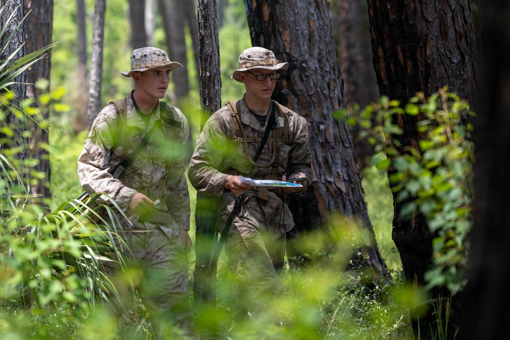 Alpha Land Navigation