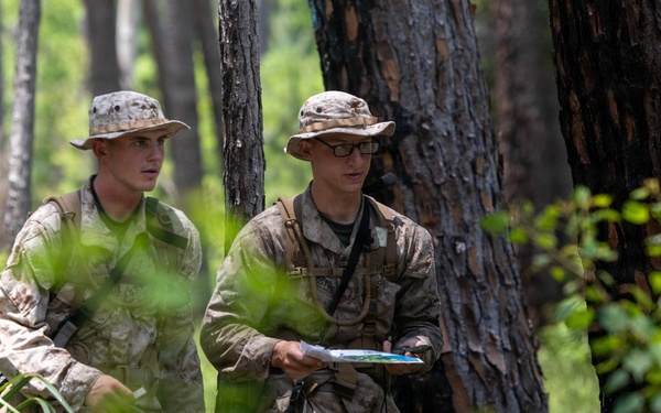 Alpha Land Navigation