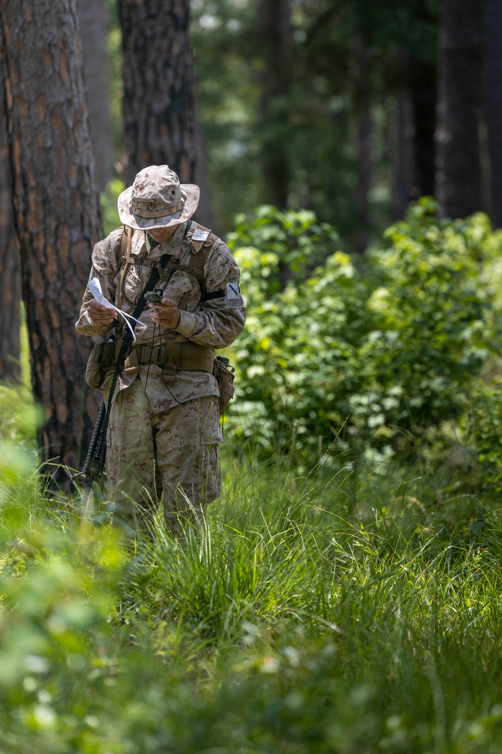 Alpha Land Navigation