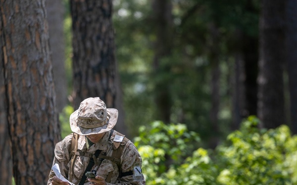 Alpha Land Navigation
