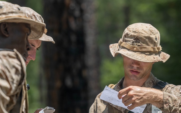 Alpha Land Navigation