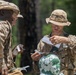 Alpha Land Navigation