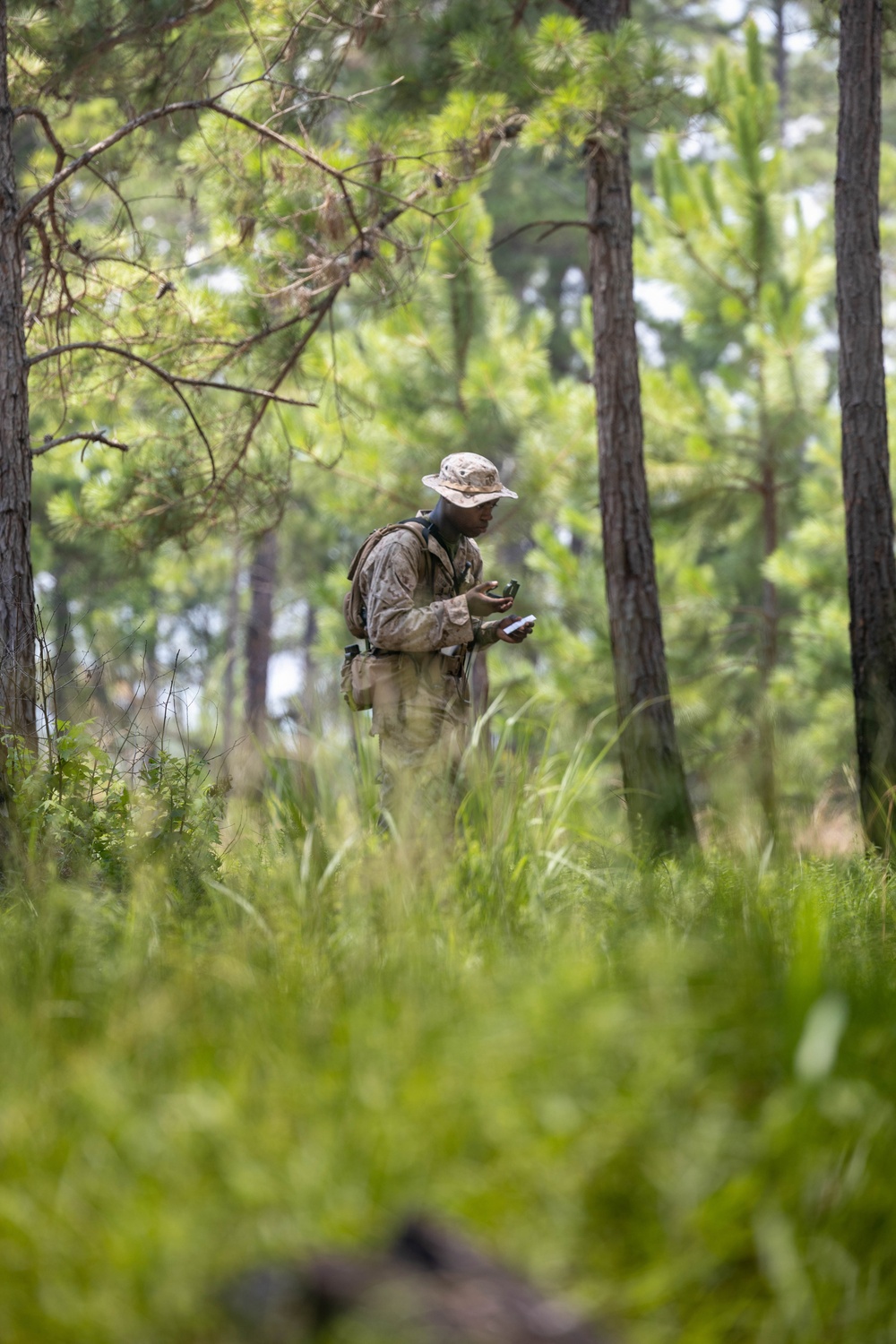 Alpha Land Navigation