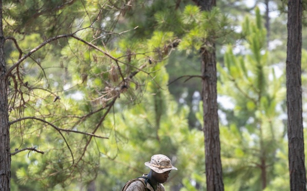 Alpha Land Navigation