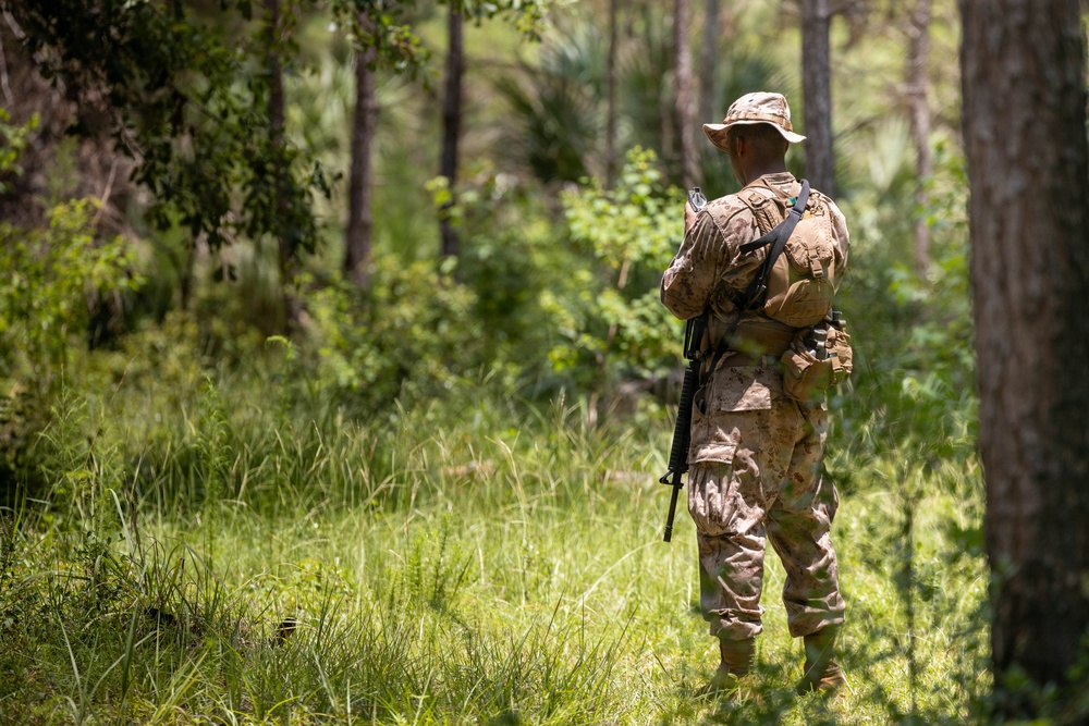 Alpha Land Navigation