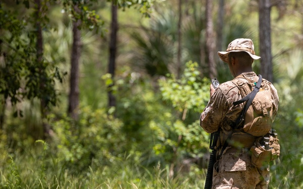 Alpha Land Navigation