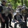 Deep Strike 10th Special Forces Group A group of military or law enforcement personnel in tactical gear are gathered outdoors in a wooded area, appearing to be in a briefing or planning session. One individual is seated and looking at a handheld device while others stand around observing. The setting suggests a training exercise or operational preparation.
