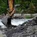 Resurrection Creek Restoration Project on Chugach National Forest