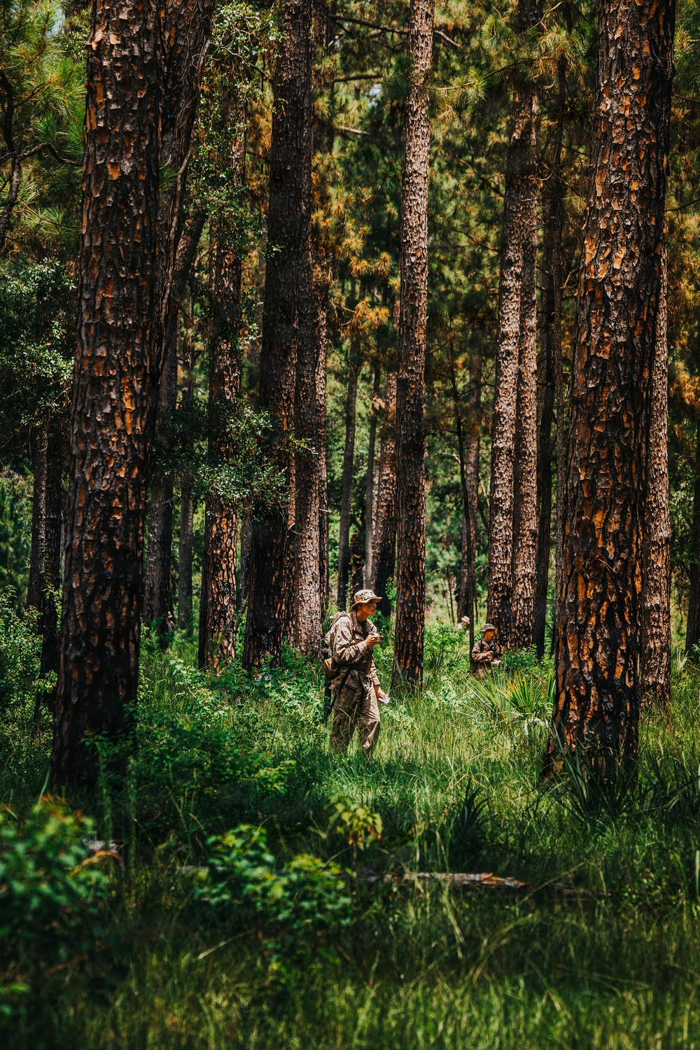 Alpha Company Land Navigation
