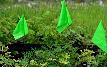 Resurrection Creek Restoration Project on Chugach National Forest