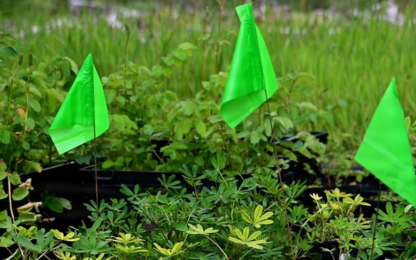 Resurrection Creek Restoration Project on Chugach National Forest