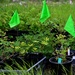 Resurrection Creek Restoration Project on Chugach National Forest