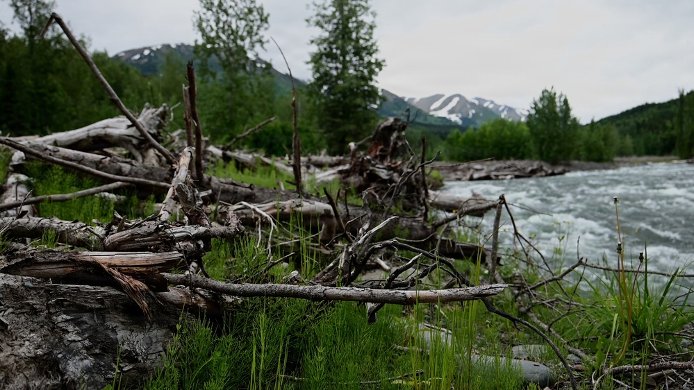 Resurrection Creek Restoration Project on Chugach National Forest