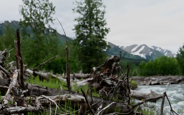 Resurrection Creek Restoration Project on Chugach National Forest