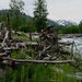 Resurrection Creek Restoration Project on Chugach National Forest