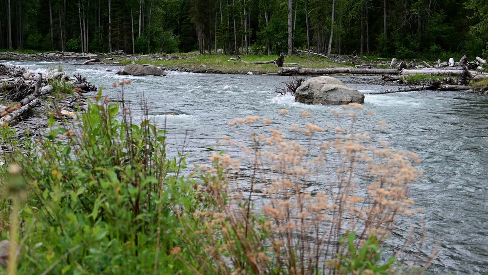 Resurrection Creek Restoration Project on Chugach National Forest