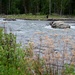 Resurrection Creek Restoration Project on Chugach National Forest