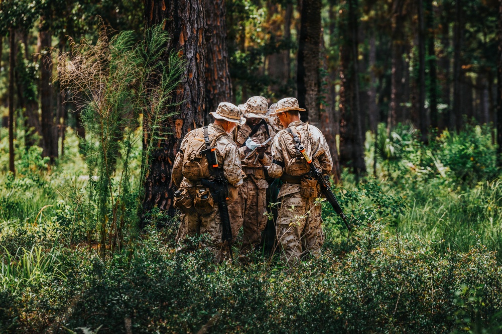 Alpha Company Land Navigation
