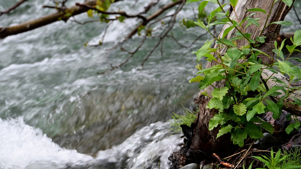 Resurrection Creek Restoration Project on Chugach National Forest