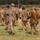 1-112th Infantry Recon squads conduct ‘ghillie wash’ training event 1-112th Infantry Recon squads conduct ‘ghillie wash’ training event